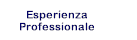 Esperienza Professionale